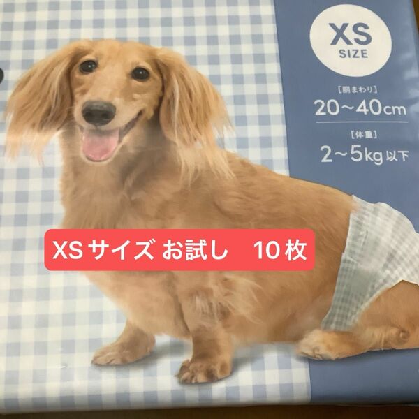 ペット用　オムツ　アイリスオーヤマ　サイズXS お試し　10枚