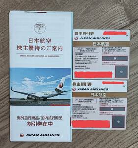 【2枚セット】JAL 株主優待券　日本航空 2枚　使用期限　2024年11月30日まで