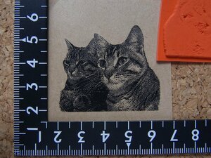 ★ラバースタンプ／見つめている二匹の仔猫