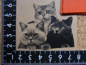 ★ラバースタンプ／見つめてくる三匹の猫