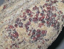 南極の石/柘榴石片麻岩　大型標本/約９．６ｋｇ_画像6