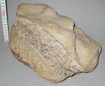 南極の石/柘榴石片麻岩　大型標本/約９．６ｋｇ_画像2