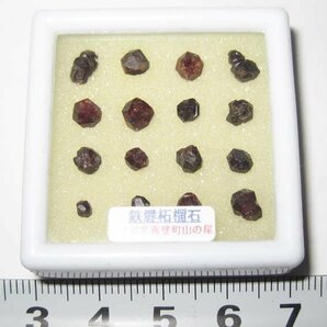 日本の鉱物 茨城県山の尾の鉄礬柘榴石/分離結晶１６個セットの画像2