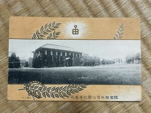 絵葉書 陸軍騎兵実施学校卒業記念　エンタイヤ　戦前　古写真　軍隊　ミリタリー　戦争　日本軍　明治　東京　千葉　陸軍騎兵学校