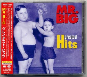 ☆MR.BIG 「グレイテスト・ヒッツ Greatest Hits」 新品 未開封