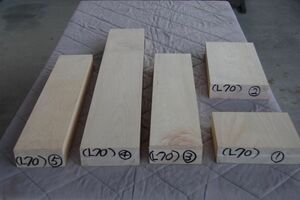  maple .mizme5 pcs 15000 jpy pre -na- tree taking settled squared timber material tree wood new goods 