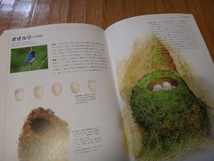 専門書　鳥類図鑑　日本の野鳥　巣と卵図鑑　世界文化社_画像7