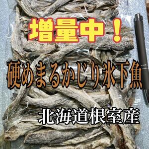  delicacy ....... ice under fish ( whirligig .) Hokkaido root . production another name : cold sea (....)