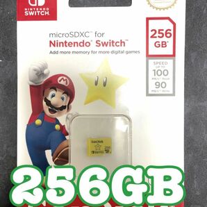 マイクロSDカード 256GB