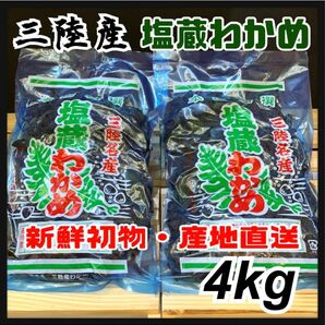 【5月までお得です】塩蔵わかめ 400g×10袋 4kg 三陸産 わかめ 産地直送