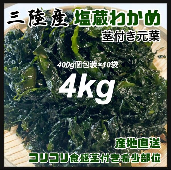 【大容量】塩蔵元葉わかめ 茎付き 4kg 大容量400g×10袋