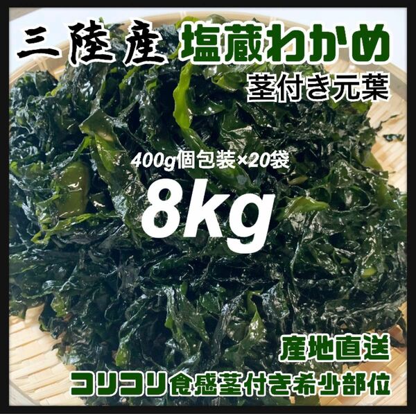【大容量お得】塩蔵元葉わかめ 茎付き 8kg 大容量400g×20袋