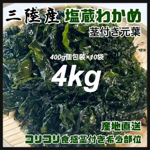 【大容量】塩蔵元葉わかめ 茎付き 4kg 大容量400g×10袋 元葉　わかめ　塩蔵わかめ　お買い得　半額以下