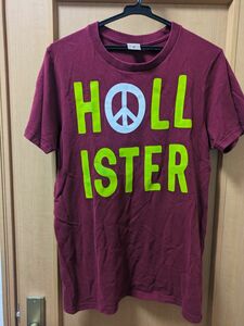 hollister 半袖 Tシャツ　ホリスター 半袖Tシャツ