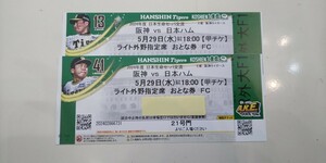  Hanshin vs Япония ветчина Koshien лампочка место 5 месяц 29 день ( вода ) свет вне . через . сторона 2 полосный номер 