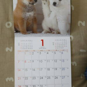2024 カレンダー 暦 dog 日光電気 送料140円～の画像1