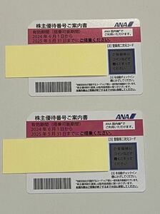 【送料無料】ANA全日空 株主優待券　2枚セット(2025年5月31日まで有効)①