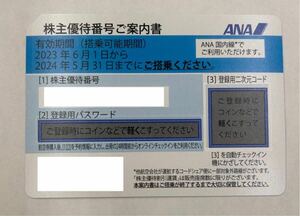 ◆格安◆全日空 ＡＮＡ株主優待券　1枚　有効期間～2024年5月31日まで