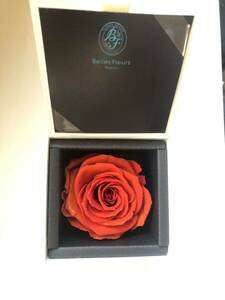  Blizzard flower diamond rose orange rose guarantee Lee ROSE GALLERY rose rose guarantee - card attaching unused goods beautiful goods 