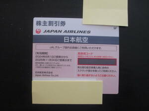 JAL株主優待券　2024年6月1日～2025年11月30日　1枚 送料無料