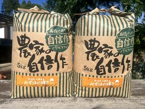 食味スコア87点　新潟県産　みずほの輝き　無洗米　10kg 