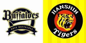 [1 иен ~ блиц-цена ]6/13( дерево ) Professional Baseball переменный ток битва Orix Buffaloes vs Hanshin Tigers @ Kyocera *1. сторона внизу уровень B указание сиденье пара * дополнение билет 