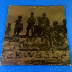 【HOUSE】【DUB】Akwaaba - Do It Tomorrow / Discfunction DISLP001 / 2×VINYL LP / UK / F