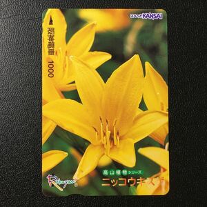 阪神/高山植物シリーズ9「ニッコウキスゲ」ーらくやんカード(使用済スルッとKANSAI)