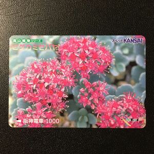 阪神/高山植物シリーズ16「ヒダカミセバヤ」ーらくやんカード(使用済スルッとKANSAI)