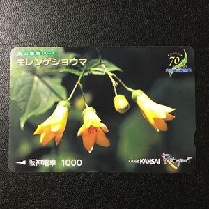 阪神/高山植物シリーズ29「キレンゲショウマ」ーらくやんカード(使用済スルッとKANSAI)