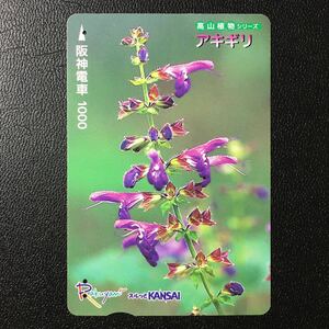 阪神/高山植物シリーズ37「アキギリ」ーらくやんカード(使用済スルッとKANSAI)