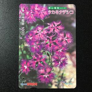 阪神/高山植物シリーズ51「タカネナデシコ」ーらくやんカード(使用済スルッとKANSAI)