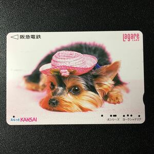 2000年4月1日発売柄ー犬シリーズ「ヨークシャテリア」ー阪急ラガールカード(使用済スルッとKANSAI)