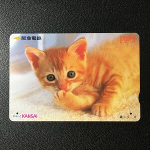 2000年5月1日発売柄ー猫シリーズ「おすまし」ー阪急ラガールカード(使用済スルッとKANSAI)