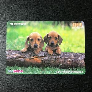 2000年9月1日発売柄ー犬シリーズ「ミニチュアダックスフンド」ー阪急ラガールカード(使用済スルッとKANSAI)