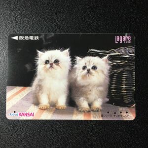 2000年10月1日発売柄ー猫シリーズ「チンチラシルバー」ー阪急ラガールカード(使用済スルッとKANSAI)