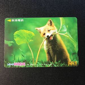 1999年8月1日発売柄ー動物シリーズ「キタキツネ」ー阪急ラガールカード(使用済スルッとKANSAI)