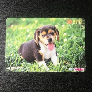 1997年7月1日発売柄ー動物シリーズ「芝生と犬」ー阪急ラガールカード(使用済スルッとKANSAI)