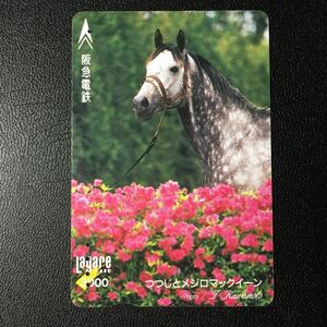 1995年6月15日発売柄ー馬シリーズ「つつじとメジロマックイーン」ー阪急ラガールカード(使用済スルッとKANSAI)