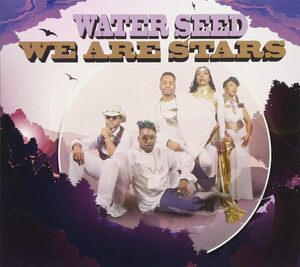 貴重廃盤 Water Seed We Are Stars 国内盤帯付 soul funkをベースにjazz ブギー ラテン等のエッセンスを散りばめた極上のモダンソウル