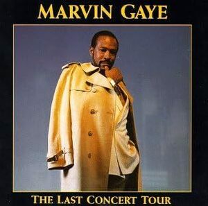 廃盤 R＆B SOUL Marvin Gaye The Last Concert Tour マーヴィン・ゲイ 日本国内盤　Midnight Love 収録曲が聴ける 希少盤