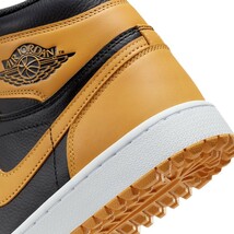 【即納】新品 28.0cm NIKE AIR JORDAN 1 HIGH GOLF Pollen ナイキ エアジョーダン１ ハイ ゴルフ ポレン ゴルフシューズ DQ0660-700_画像9