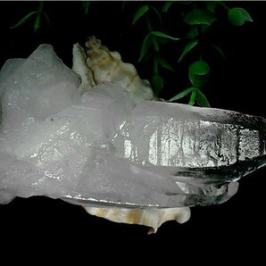 「在庫処分」◆超強いパワーヒマラヤ産天然水晶クラスター177B6-32B40Zの画像4