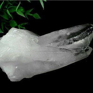 「在庫処分」◆超強いパワーヒマラヤ産天然水晶クラスター177B6-32B40Zの画像5