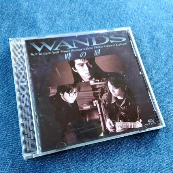 WANDS / 時の扉
