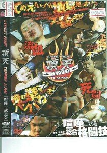 No1_00470 DVD STREET FIGHT 頂天 TEPPEN JAPAN『喧嘩一武道会』 レン落