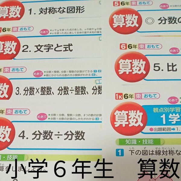 小学６年生　算数　東京書籍　教育同人社　カラー　プリント　テスト　予習　復習　家庭学習　最新　対策