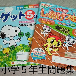 小学５年生　問題集　仕上げ　予習　復習　家庭学習　先取り　自宅保管　対策　準備　週末学習