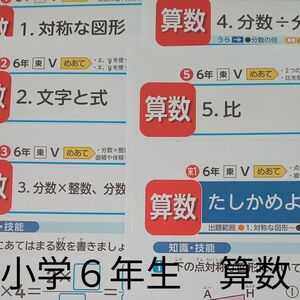 小学６年生　算数　東京書籍　光文書院　カラー　プリント　テスト　予習　復習　家庭学習　最新　対策　塾　