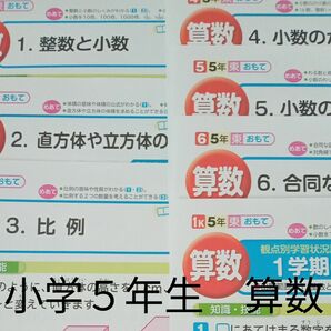 小学５年生　算数　東京書籍　教育同人社　カラー　プリント　テスト　予習　復習　家庭学習　最新　塾　対策